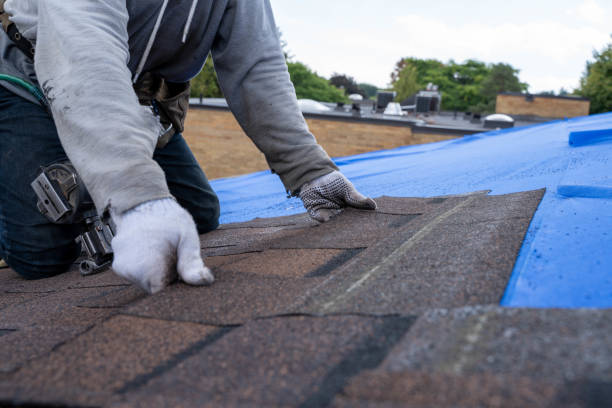 Best Roof Waterproofing Services  in Stevenson, WA