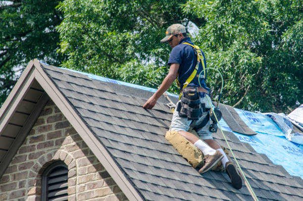Best Gutter Installation and Roofing  in Stevenson, WA